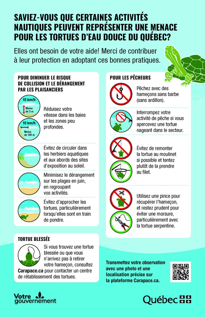 BOAT WASH POSTER FR.jpg